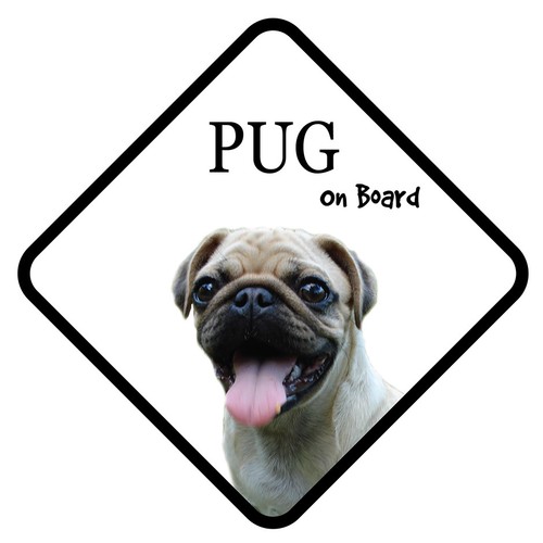 Pug dog board car - car, sign