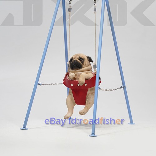 Jxk carlino sull - 1/6,