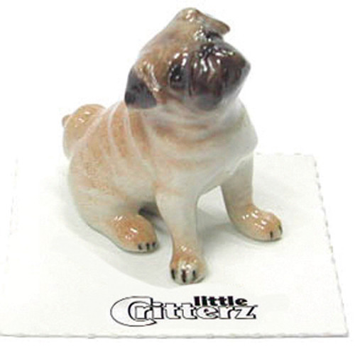 Piccola creatura cane - creatura,
