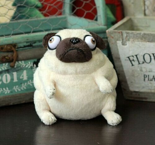 Peluche pig elfo carlino - peluche,