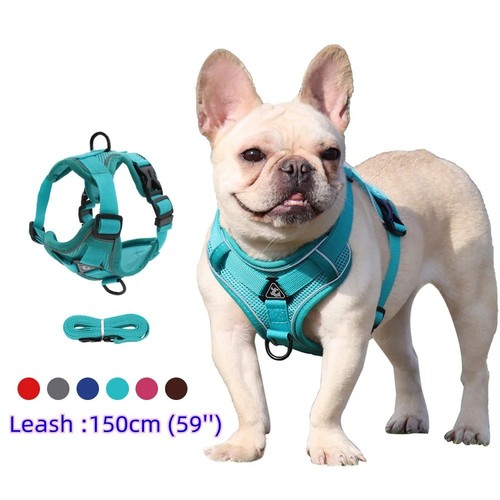 Set pettorina per cani - set,