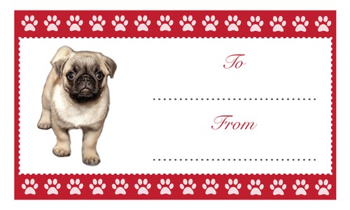 Pug etichette regalo natale - regalo,