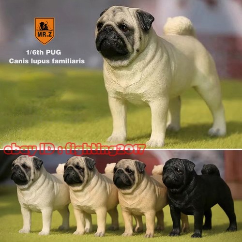 Modellino cane carlino - , mr.z