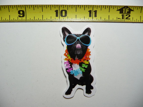 Pug holiday hawaii divertente - holiday,
