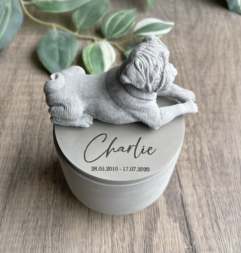 Urna cane carlino