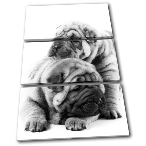 Pug puppies dog animals - animals, treble