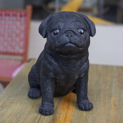 Soreal carlino bambino nero - carlino,