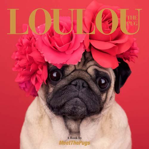 Loulou the pug - the, by