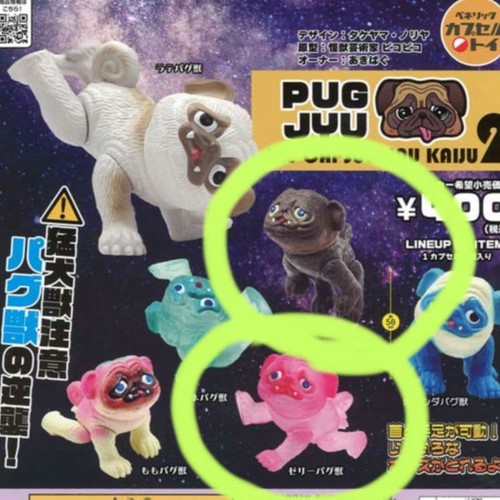 Carlino bestia pug jyu2 - carlino,
