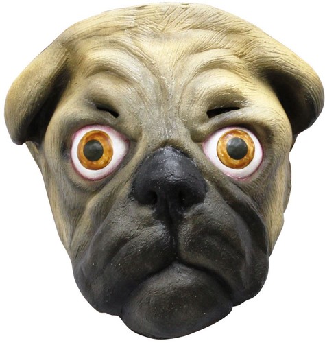 Maschera viso cane carlino