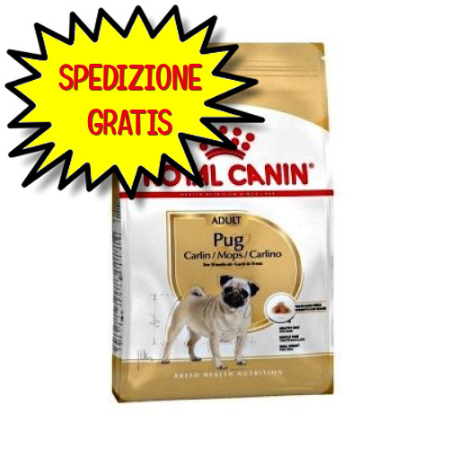 Royal canin cane pug carlino - canin,