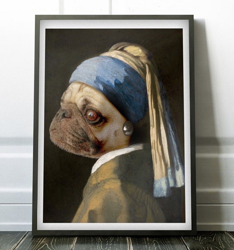 Carlino con orecchino di - il,