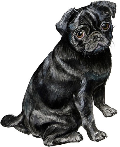 Adesivo decalcomania cane