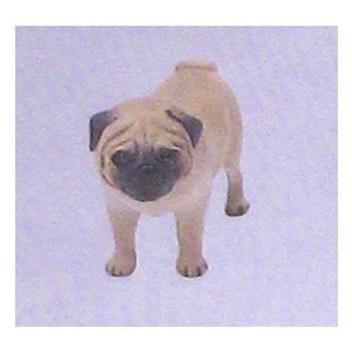 Choco egg pug dog - egg, type