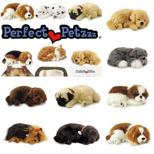 Perfect petzzz dogs - petzzz, and