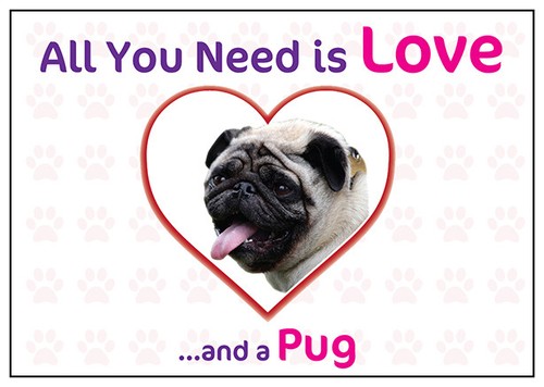Funny love and pug - funny,