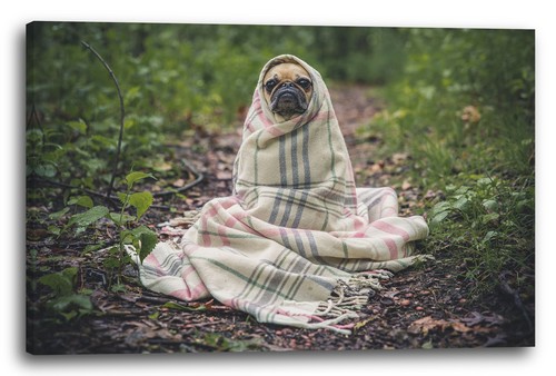 Tela cornice pug - tela/cornice,